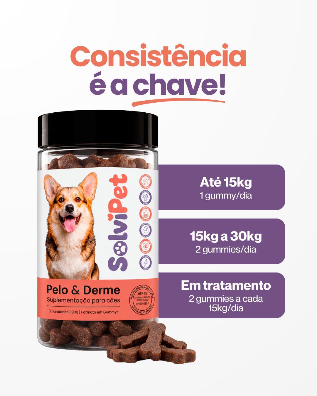 Kit 5 unidades - SolviPet - Pelo e Derme (Nova Embalagem)