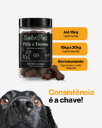 SolviPet - Pelo e Derme