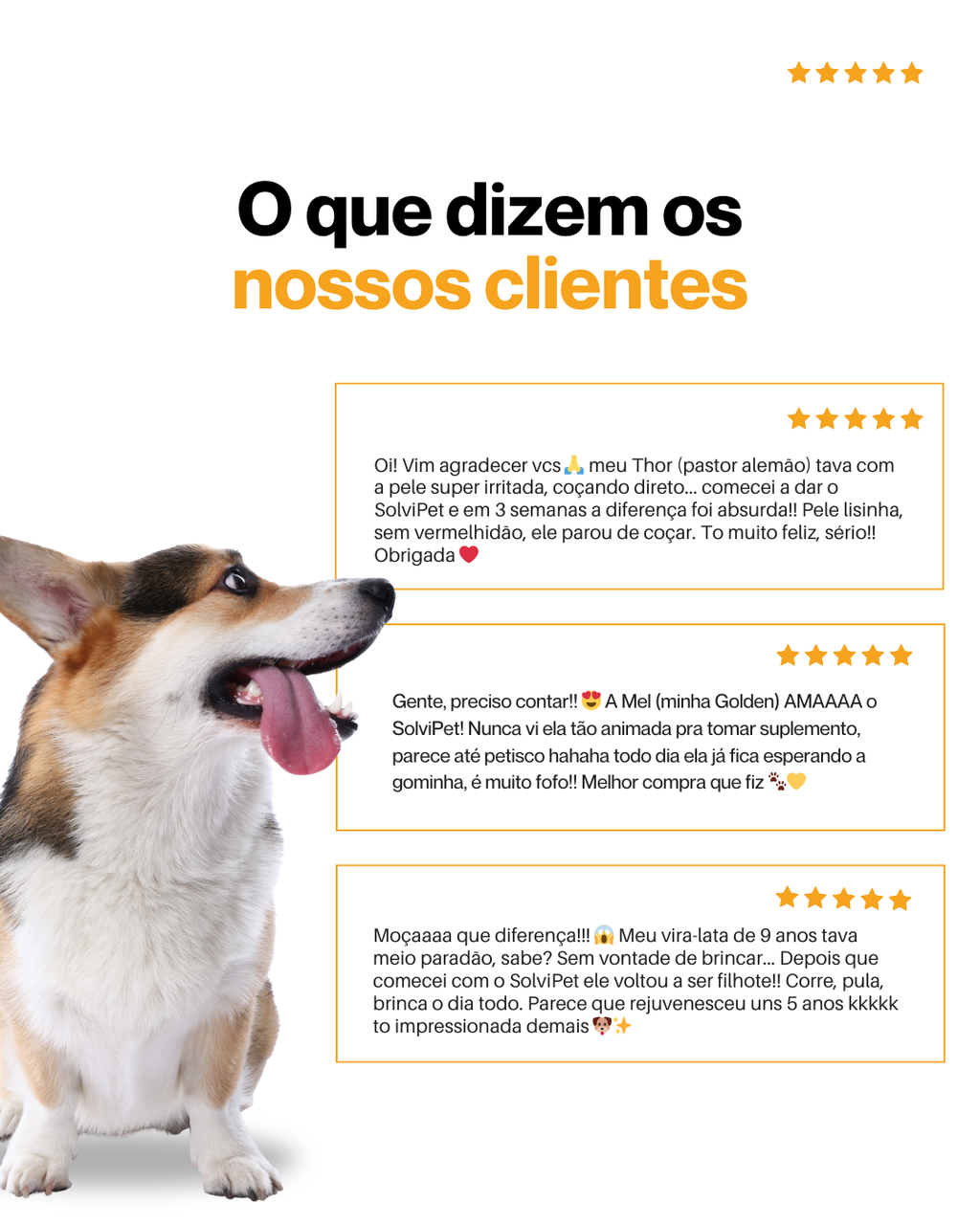 SolviPet - Pelo e Derme