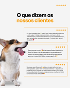 SolviPet - Multifuncional Gold