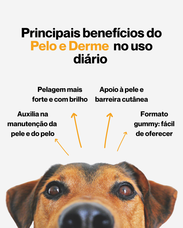Principais benefícios do SolviPet Pelo e Derme - Biotina e Colágeno