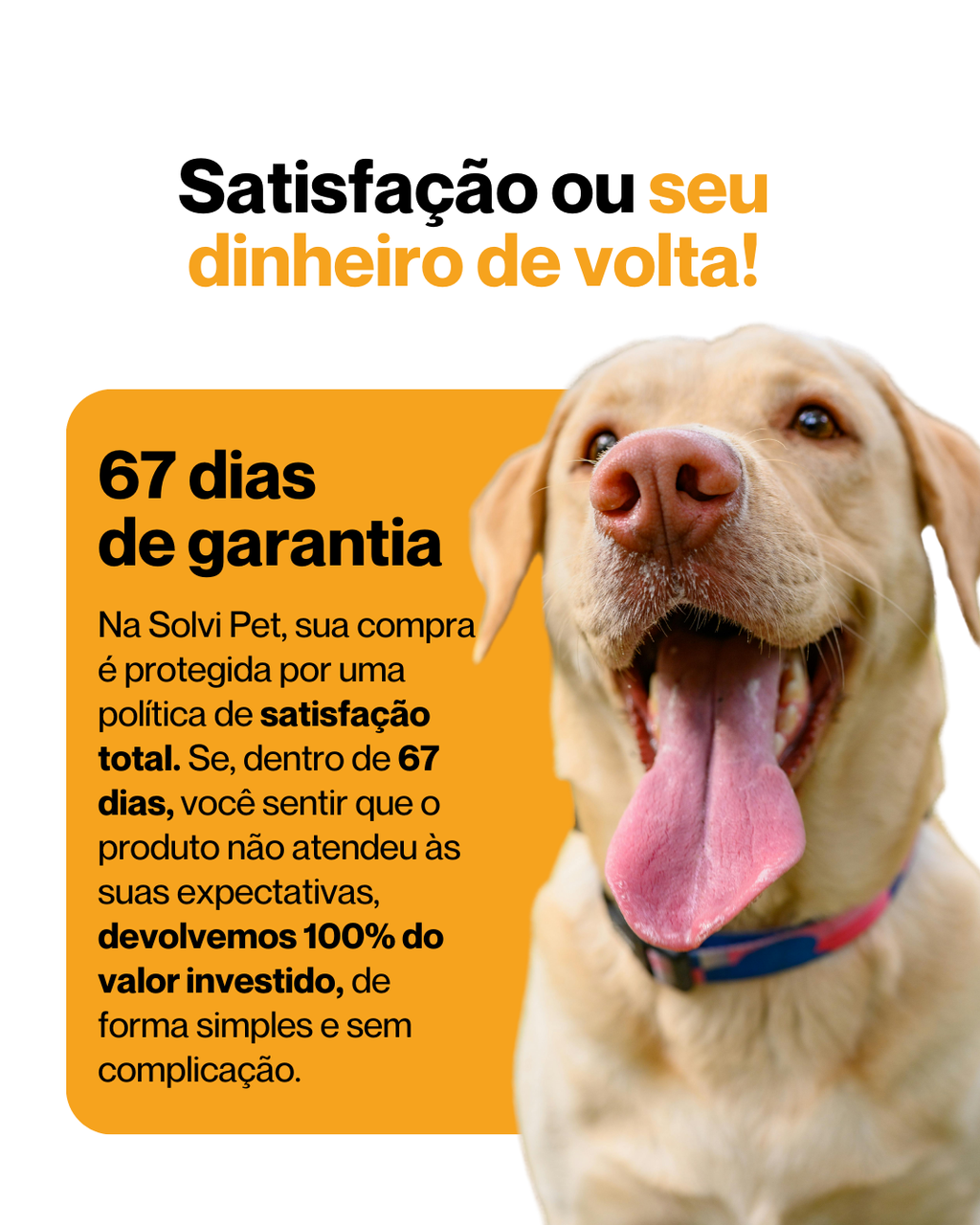 SolviPet - Pelo e Derme