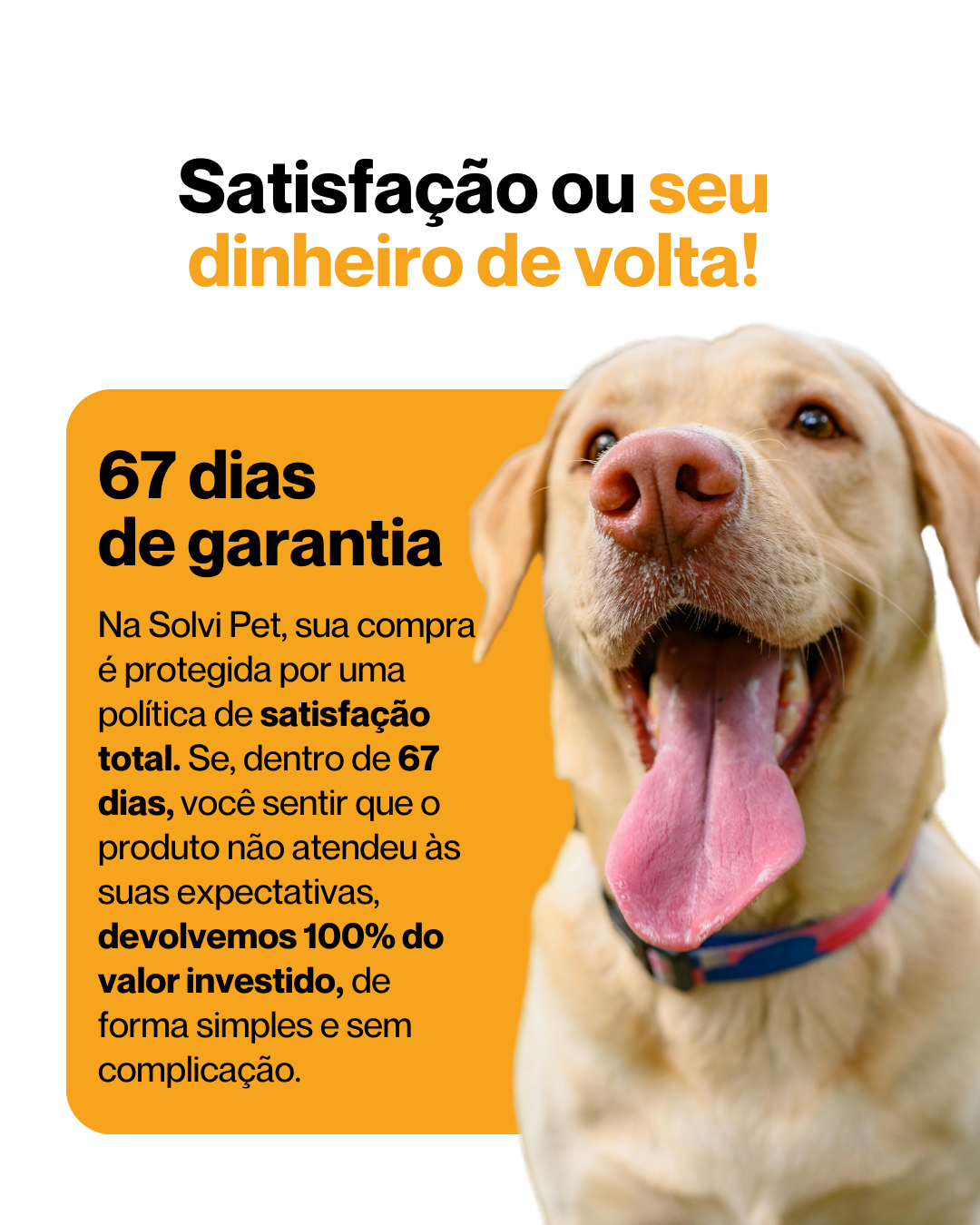 SolviPet - Pelo e Derme