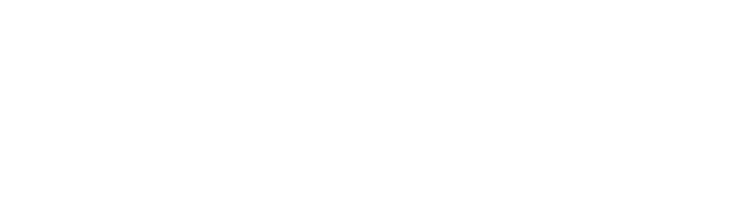 SolviPet